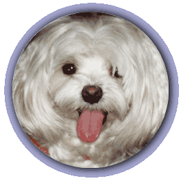 Replace with photo of OTTO