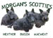 3scottiesMORGAN