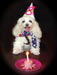 Soba8thBday